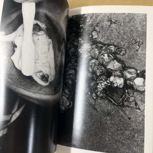 Nobuyoshi Araki "Erotos" mit Obi - Bild 7 von 13