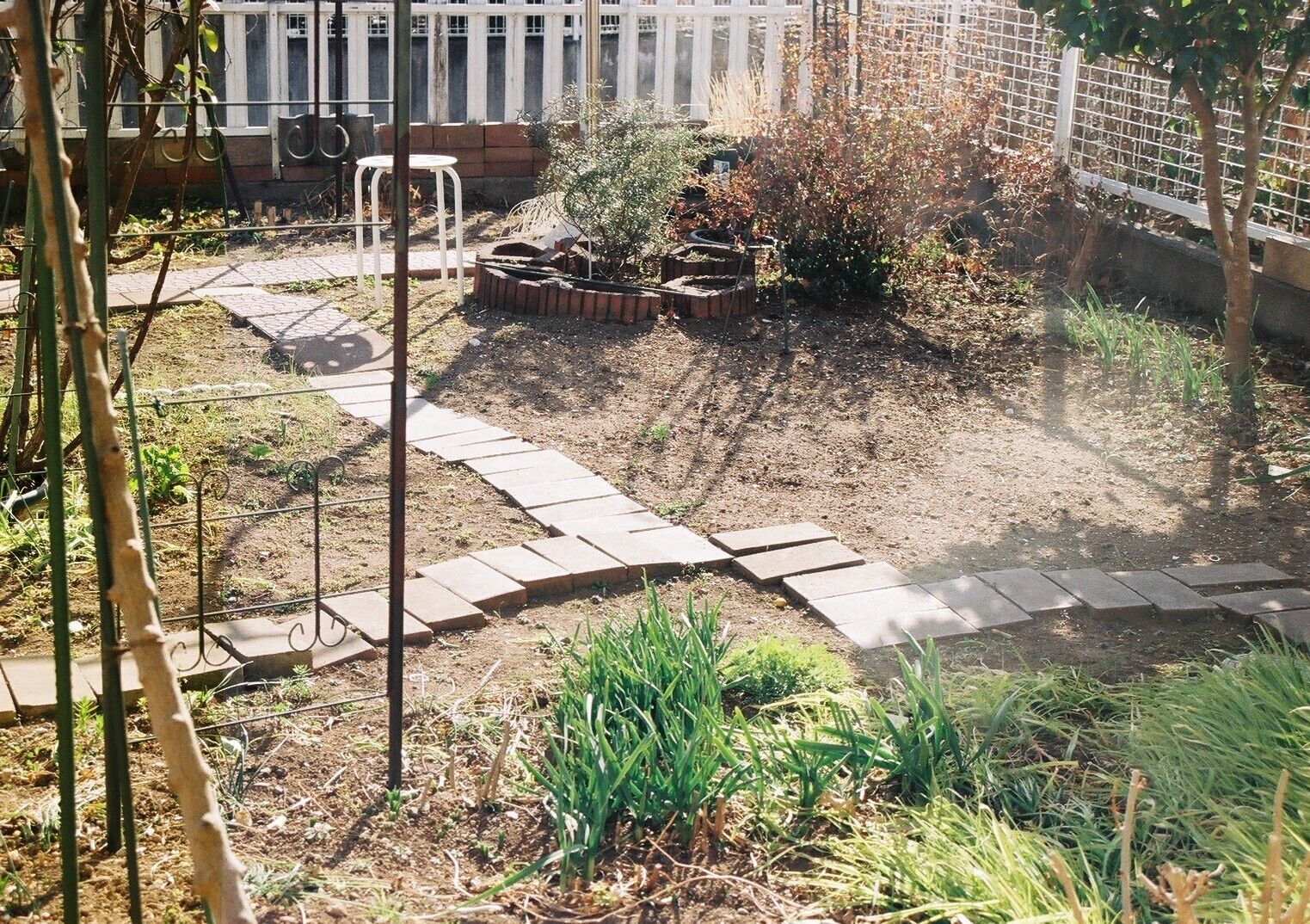 Picture 23 of 24