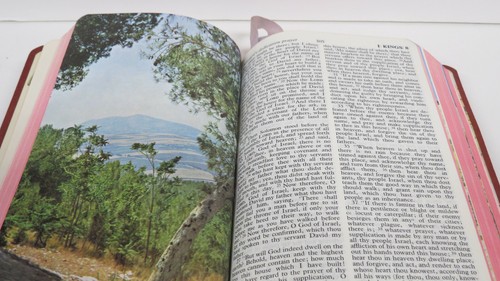 Red Leather Red Letter Holy Bible Revised Standard 4-Color Illustrations NEW - Foto 11 di 12