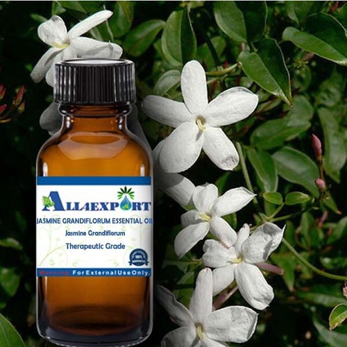 PURE JASMINE GRANDIFLORUM OIL Jasmine Grandiflorum NATURAL HERBAL AROMA - Picture 20 of 30
