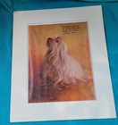 Vintage Dog Art Gift Animal Artwork Maltise Rien Poortvlie Print Home Office 