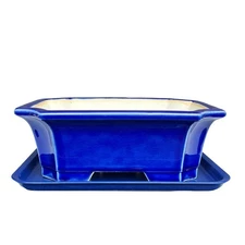 Blue Bonsai Plant Pot 10â€ with Drip Saucer, Classic Glazed Ceramic Planter ...