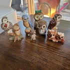 Picture 1 of 15