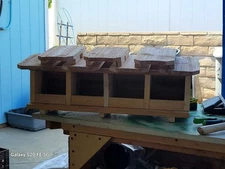 Sparrow Nesting Box with 4 compartments