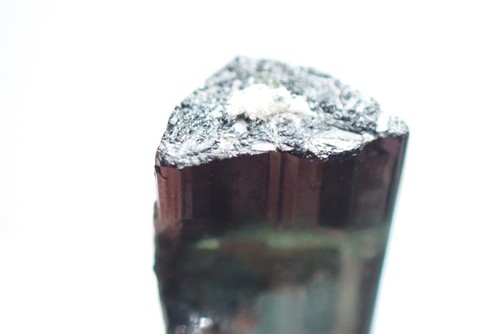 ELBAITE - FOITITE * TURMALINA BICOLOR * ¡LOCALIDAD RARA! Alto da Cabeca, BRASIL - Imagen 20 de 22