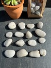 Bild 2 von 8