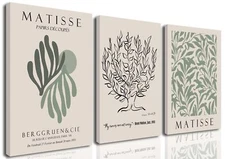 Matisse Wall Art Set of 3,Sage Green Wall Decor,Abstract Matisse Canvas Print...