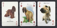 Three Single Dog Art Playing Cards AFGHAN HOUND Markevicius Baraldi Artlist