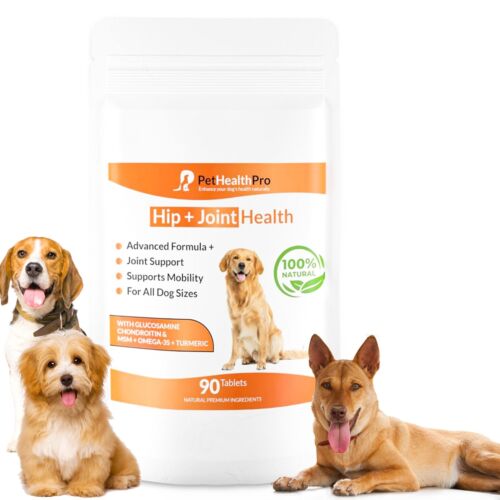 Senior Dog Hip & Joint Supplement With Turmeric MSM Tablet for Stiff Older Dogs