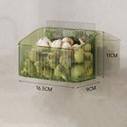Foto 12 di 12