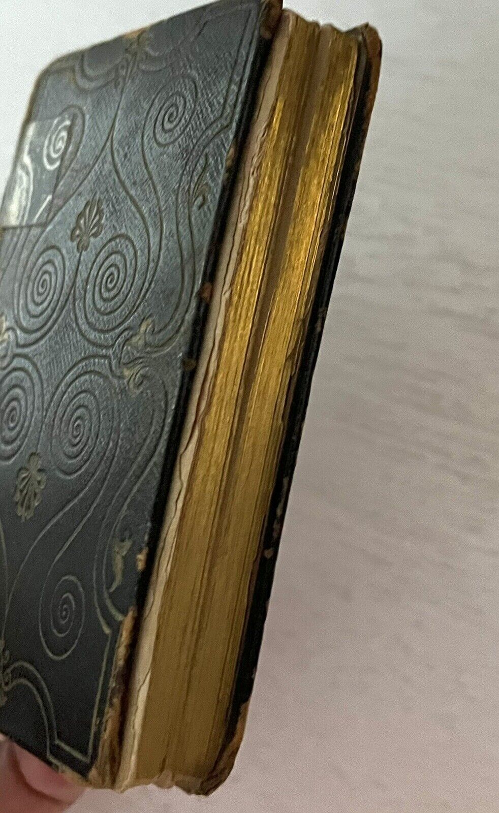 Picture 5 of 11