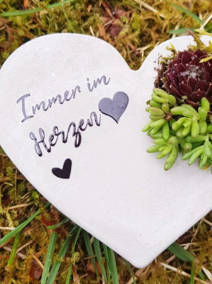 Bild 2 von 2