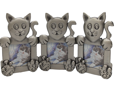 Cat Frames