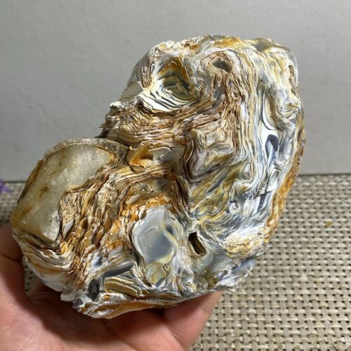 Bonsai Suiseki - natürliche Gobi Achataugen Stein - seltene atemberaubende Betrachtung 1150g