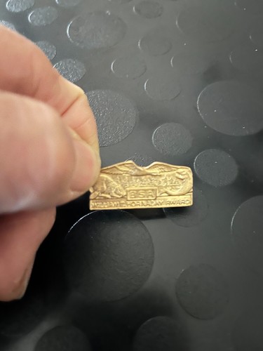 HORNADAY AWARD GOLD PIN ONLY 1500 AWARDS GIVEN OUT IN 114 YEARS SCOUTING RARE - Picture 3 of 3