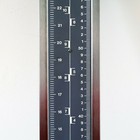 Bild 5 von 12