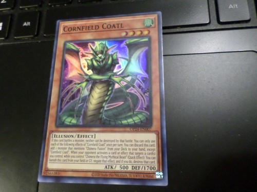 PT45 YUGIOH MY FRIEND PURRELY PRETTY MEMORY CARDS / STAPLES / OTHERS YOU PICK - Picture 16 of 243