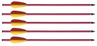 5 Stk Armbrustbolzen Bolzen FüR Armbrust 22 Zoll Rot Spine 2219