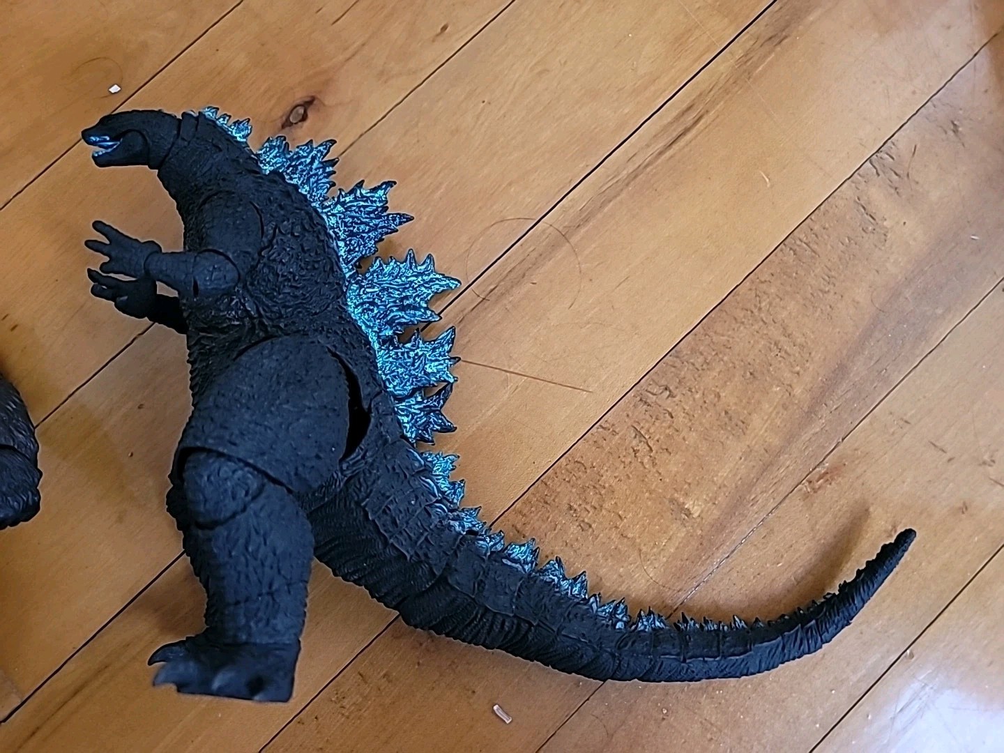 Picture 4 of 5