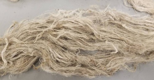 Maglia per ortica 1 libbra (16 once), pacchetto di fibre lunghe, ortica da montagna himalayana - Foto 4 di 4