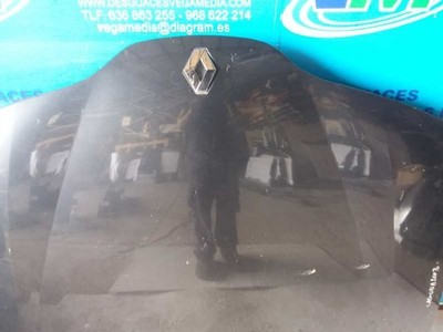 HAUBE  RENAULT LAGUNA II BG0 EXPRESSION 2001 555346