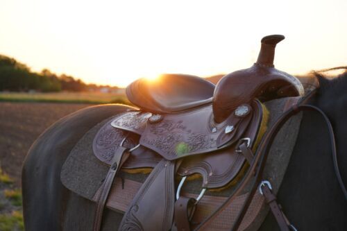Premium Western Horse Pleasure Saddle Riding/Showman Saddle 12" to 16" Easter - Picture 20 of 37