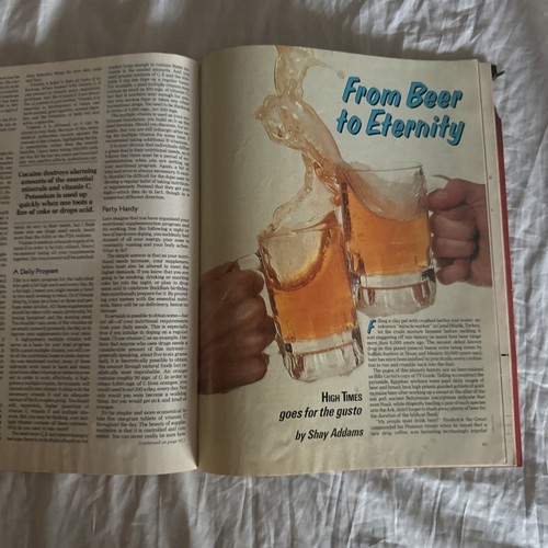 High Times Magazine #58 June 1980 Mick Jagger, LSD Dr Albert Hoffmann Vintage - Picture 19 of 23