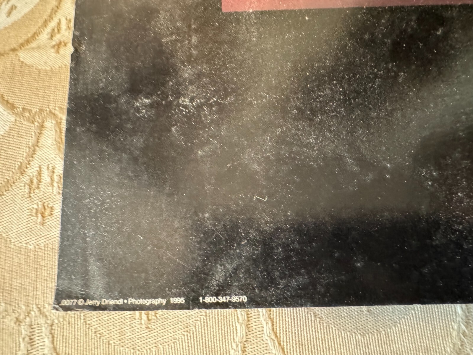 Picture 8 of 13
