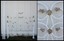 antique victorian floral tulip & chrysanthemum cast iron full bed brass finials