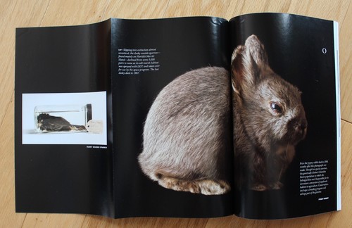 National Geographic enero de 2009; oro; presidencia de Estados Unidos; Kronotsky; sagas polares - Imagen 10 de 16