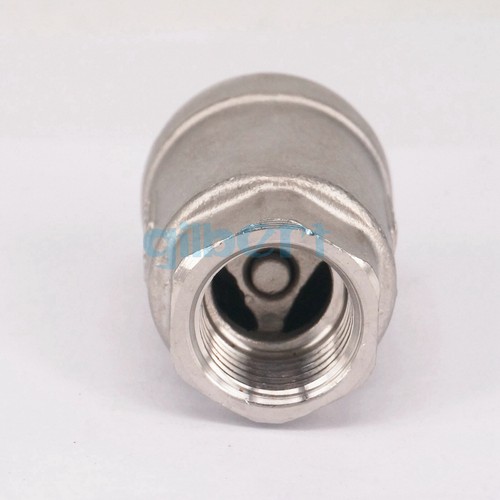 Válvula de retención unidireccional sin retorno de resorte de acero inoxidable 1/2"" 3/4"" 1"" BSP hembra 304 - Imagen 7 de 21