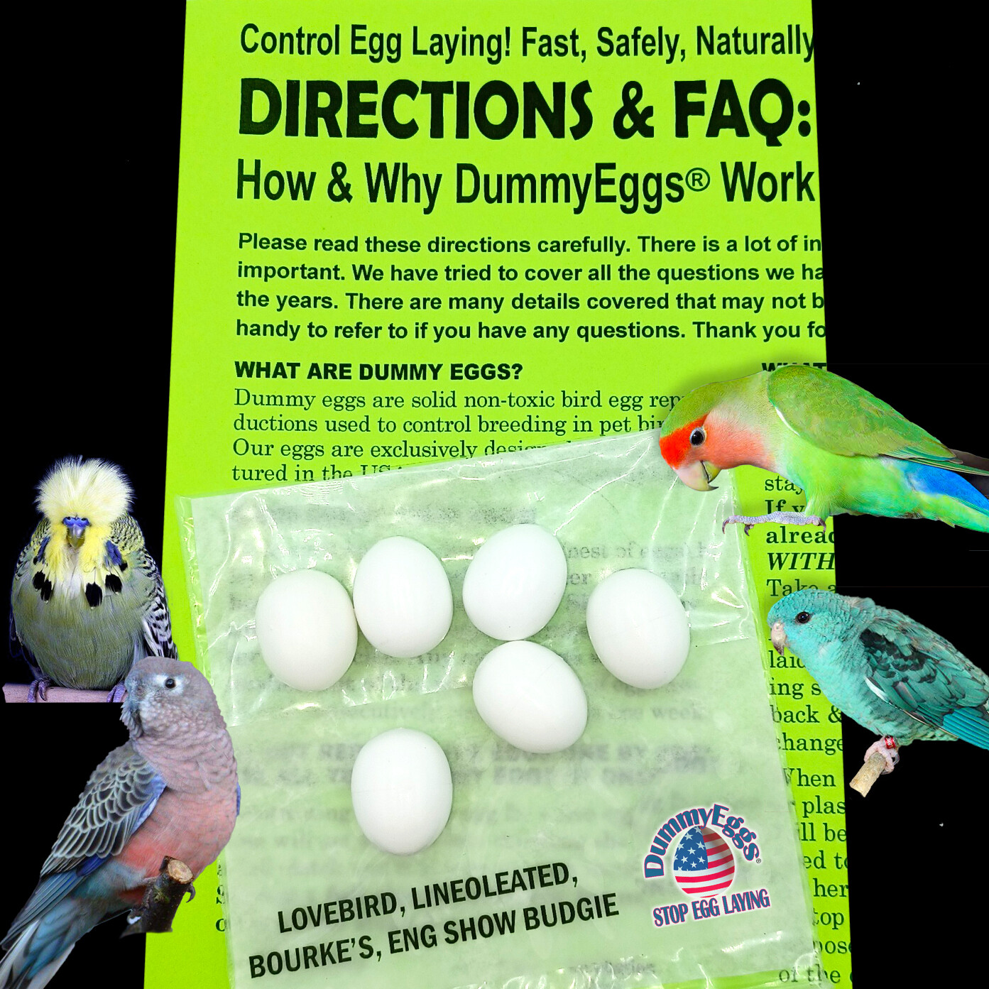 PLASTIC LOVEBIRD EGGS STOP LAYING! 6 DummyEggs Nontoxic Solid Fake Realistic USA - Picture 6 of 7
