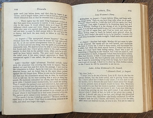 DRACULA by Bram Stoker - 1897 / 1920s - VAMPIRE, GOTHIC HORROR - Picture 11 of 12