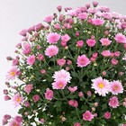 Bild 2 von 7