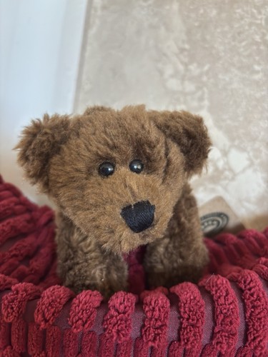 Boyds Bears Everest #5844-05 Plüsch 8,5 Zoll 🐻 mit schwarzem Kragen mit Nieten Neu mit Etikett - Bild 3 von 20