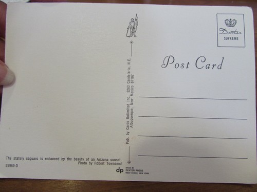 VINTAGE 1970's picture postcard saguaro in ARIZONA SUNSET - Picture 2 of 2