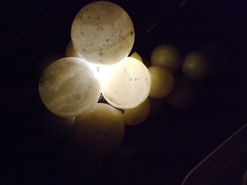 Huge Vtg 50s Translucent Italian Alabaster Stone Marble Grapes on Driftwood MCM - Picture 7 of 11