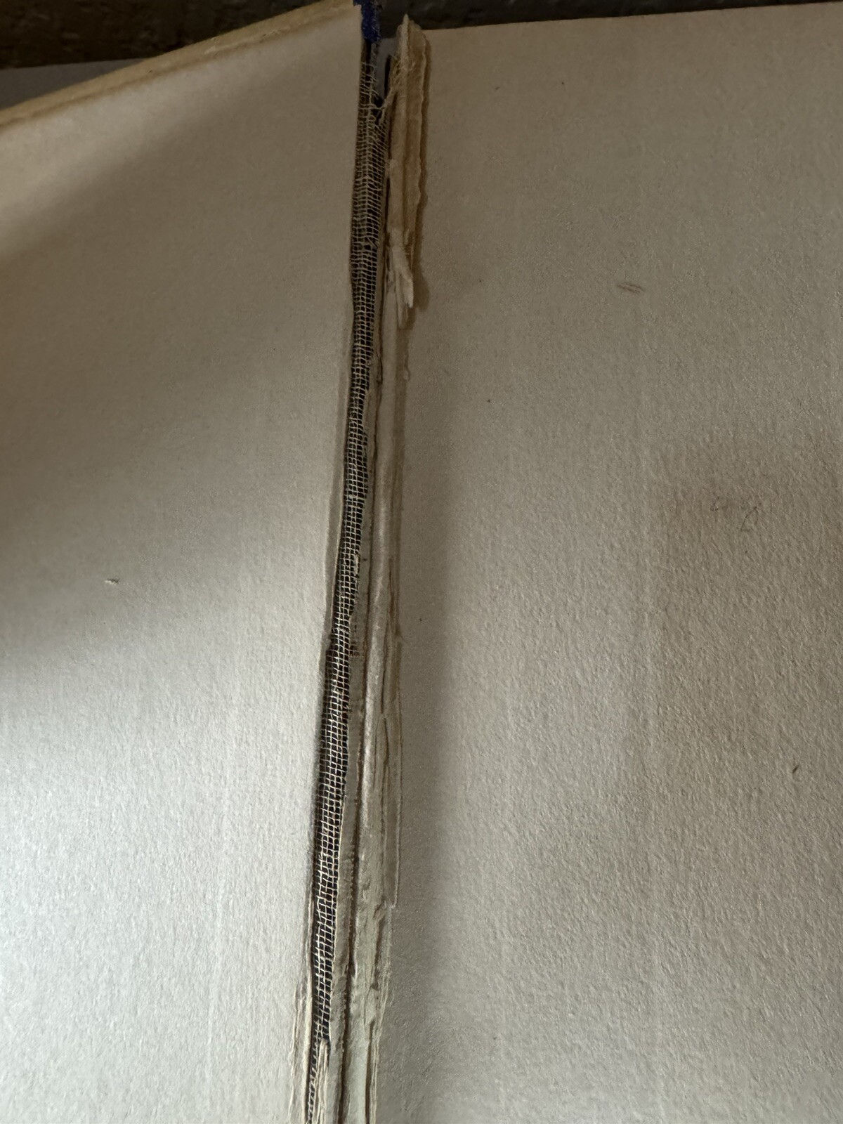 Picture 10 of 16