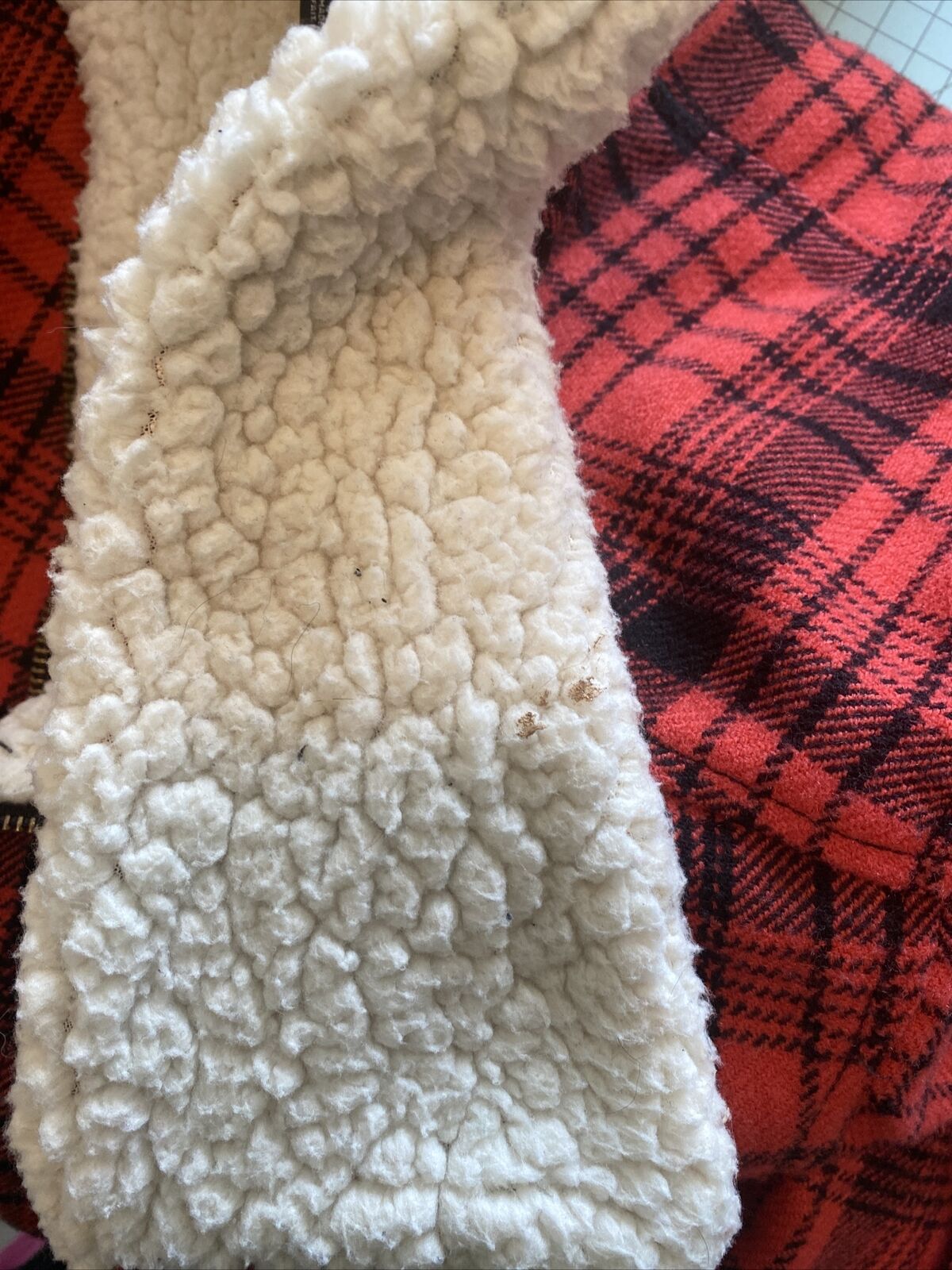 Picture 5 of 5