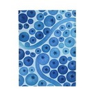 Velveteen Plush Blanket Blueberry Gradient Abstract Pattern Art