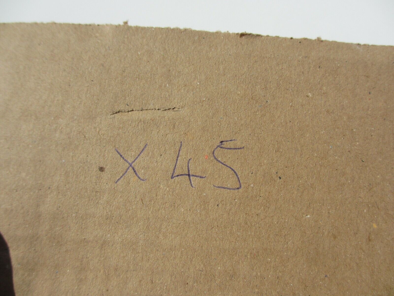 Bild 11 von 12