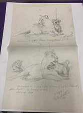 Margery Stocking Hart Drawing Princess & Cubs 1970 On Tracing Paper U10