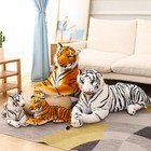 Foto 11 di 51
