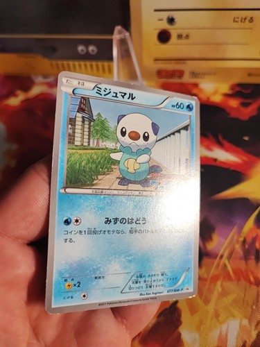 Pokemon Karte Card Ottaro Oshawott BW Promo Game Workbook japanese Exc- - Bild 5 von 15
