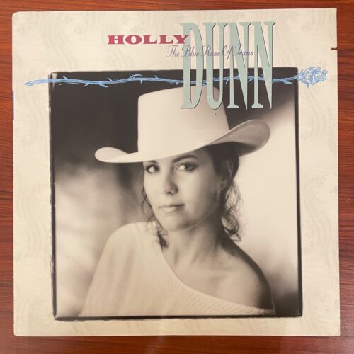 250x Country Schallplattensammlung LP Vinyl A–Z sortiert American Western Blues - Imagen 120 de 239