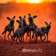 Digital Image Picture Photo Wallpaper Background Desktop AI Art Sample Product