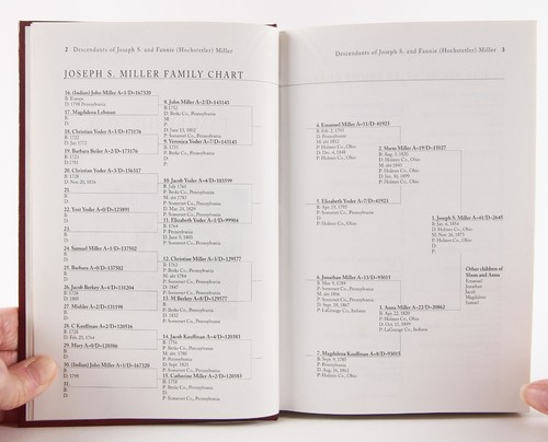 Descendants of Joseph S & Fannie (Hochstetler) Miller 1854-2002 Genealogy Scarce - Picture 4 of 12