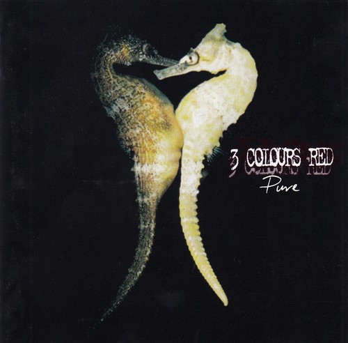 3 COLOURS RED Pure CD Album 1997 WIE NEU Sixty Mile Smile Punk Rock Klassiker ! - Bild 2 von 7