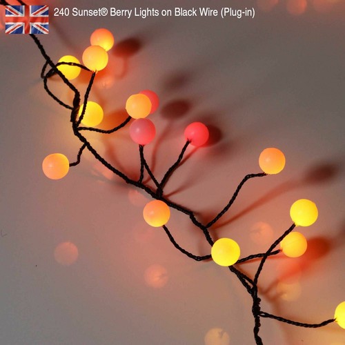 Premium LED Cluster Lights, Sunset & Warm White Fairy Lights for Christmas - Picture 40 of 95