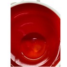 Bild 7 von 9